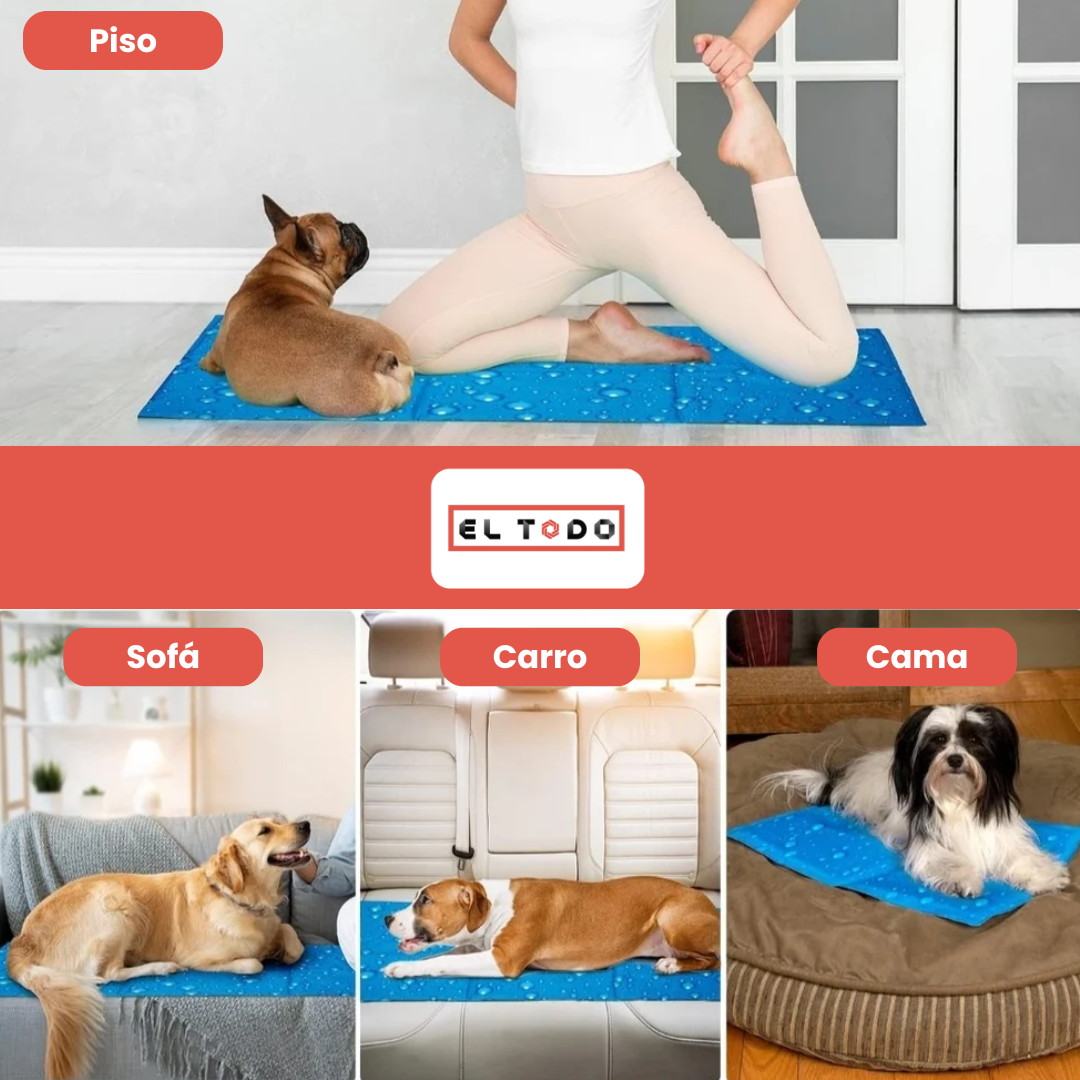 Pet Cool Mat 🐾 ¡Tu mascota merece frescura total este verano! 🧊☀️