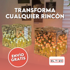 🌷✨ La lámpara que enamora a primera vista... ¡y transforma cualquier rincón!