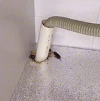 ✨Descubre HidroSeal Pro 🚿 ¡No más fugas ni humedad! 🔧