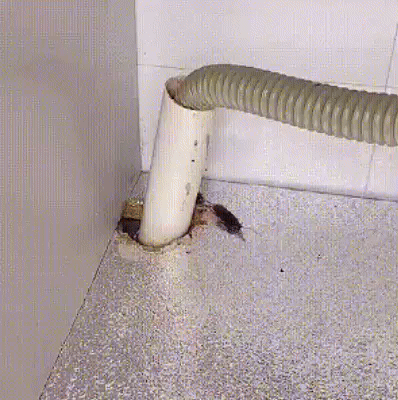 ✨Descubre HidroSeal Pro 🚿 ¡No más fugas ni humedad! 🔧