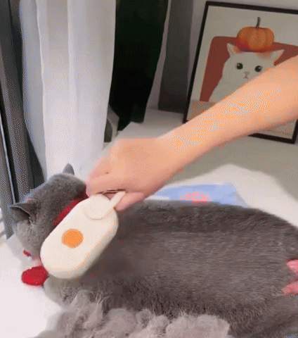 ¡Cepillo para Mascotas a Vapor!💨¡El Mejor Cuidado para tu Perro y Gato! 🐱🐶✨